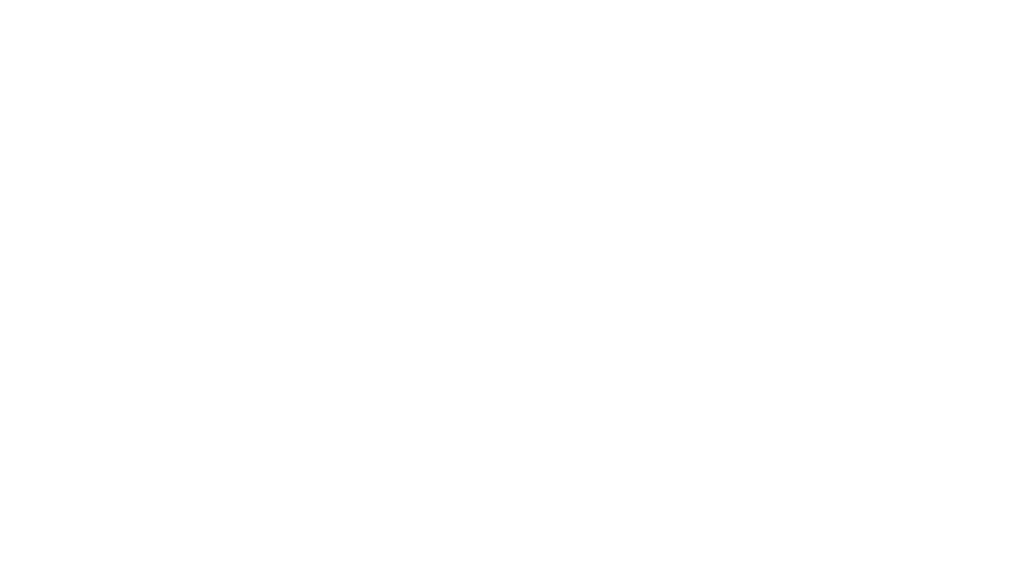 The Tribe